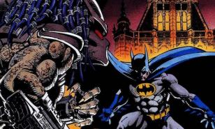 Batman vs Predator, Batman vs Predator Who Would Win