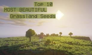 Top Ten Grassland Seeds Thumbnail of a plains biome in Minecraft