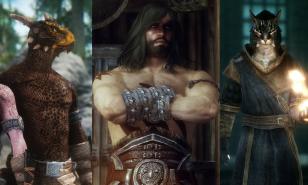 skyrim races skyrim races
